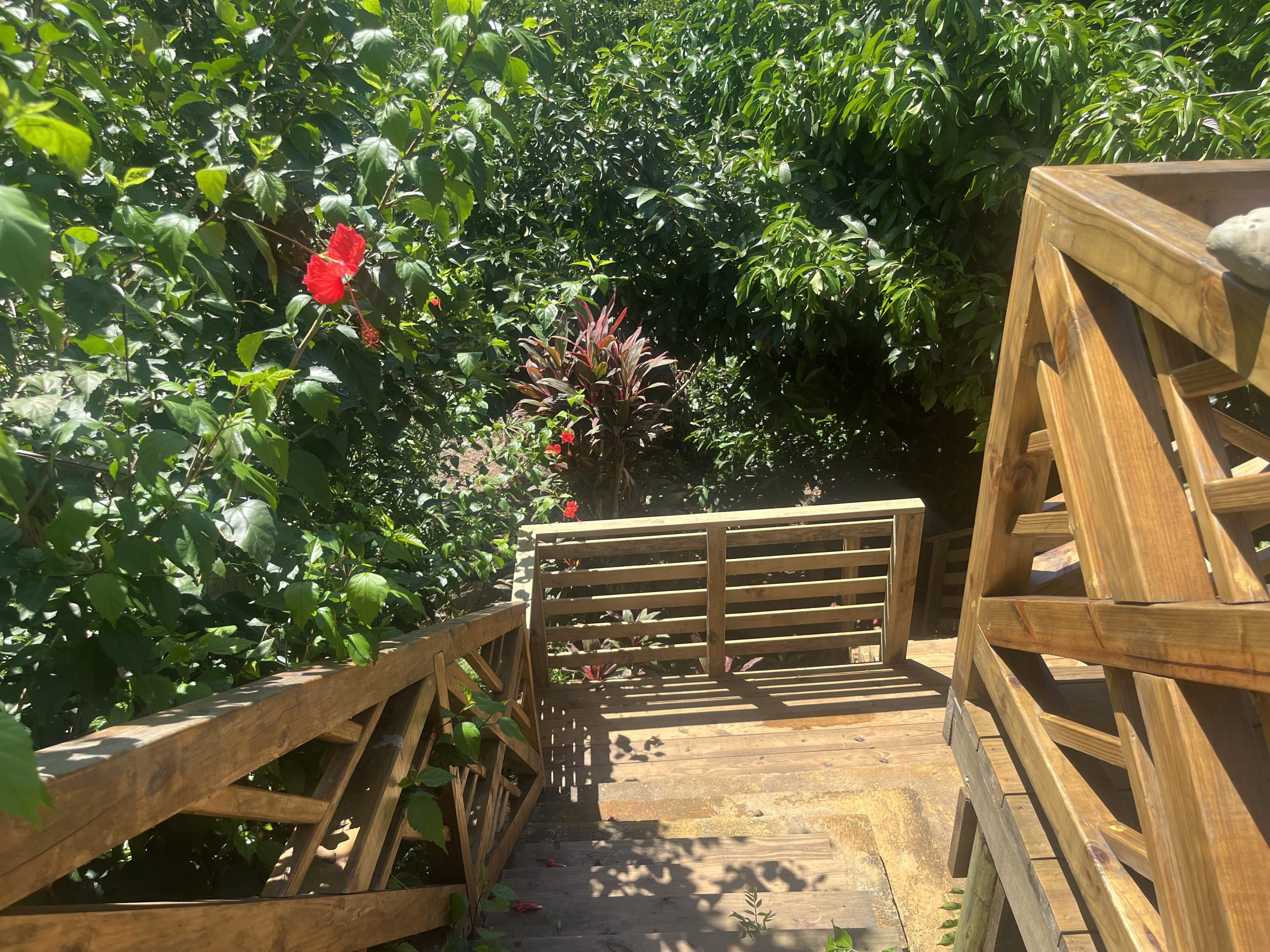 Terrace with hibiscus flowers at Seahorse Point